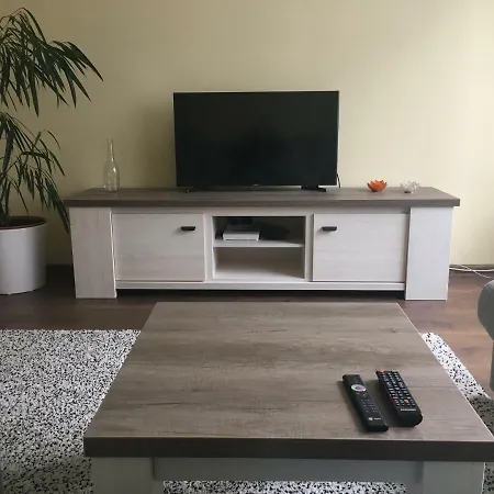 Liivalaia Apartment